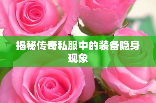 揭秘传奇私服中的装备隐身现象图片