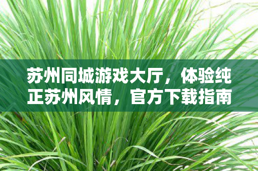 苏州同城游戏大厅图片