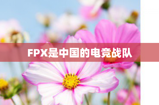 FPX是中国的电竞战队图片