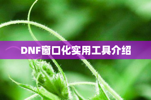 DNF窗口化实用工具介绍图片