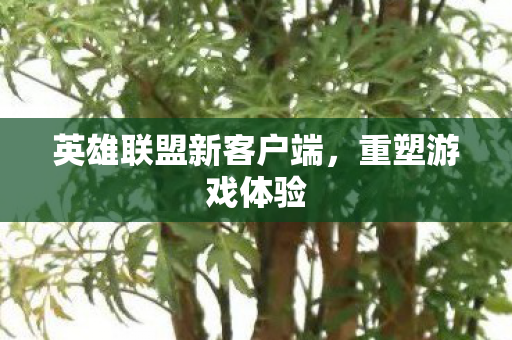 英雄联盟新客户端图片