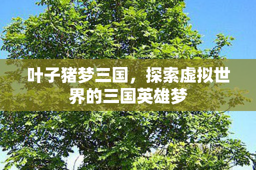 探索虚拟世界的三国英雄梦图片