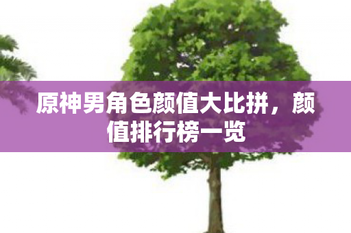 原神男角色颜值大比拼图片
