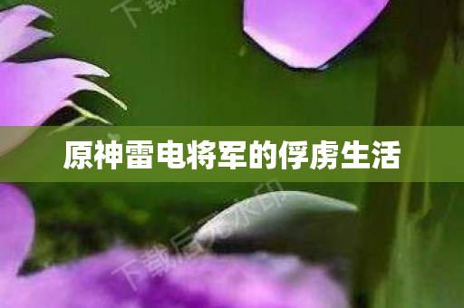 原神雷电将军的俘虏生活图片