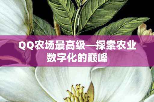 探索农业数字化的巅峰图片