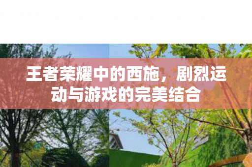 剧烈运动与游戏的完美结合图片