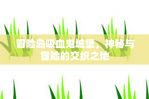 神秘与冒险的交织之地图片