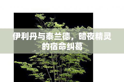暗夜精灵的宿命纠葛图片