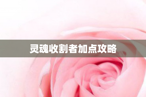 灵魂收割者加点攻略图片