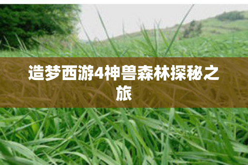 造梦西游4神兽森林探秘之旅图片