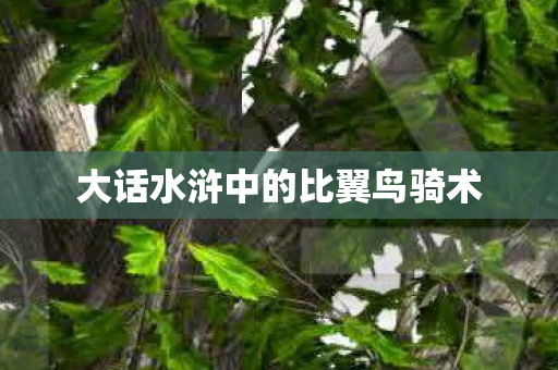 大话水浒中的比翼鸟骑术图片
