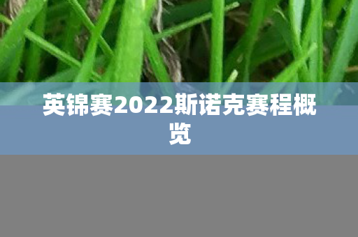 英锦赛2022斯诺克赛程概览图片