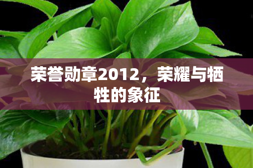 荣誉勋章2012图片
