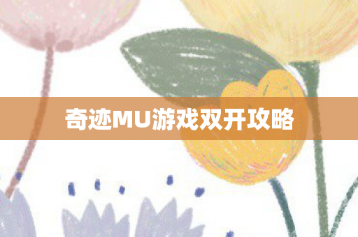 奇迹MU游戏双开攻略图片
