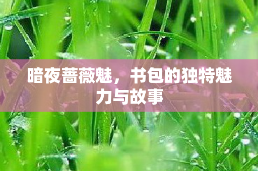 书包的独特魅力与故事图片