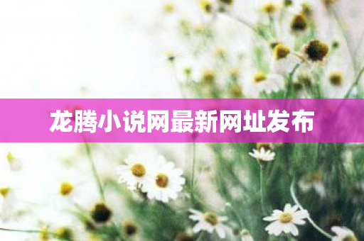 龙腾小说网最新网址发布图片