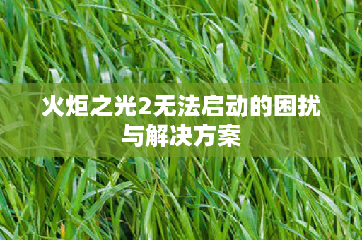 火炬之光2无法启动的困扰与解决方案图片