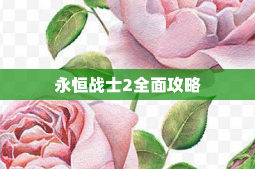 永恒战士2全面攻略图片