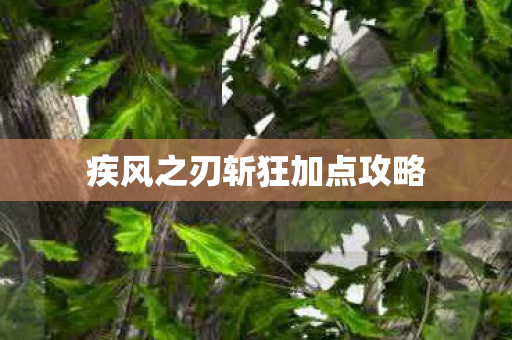 疾风之刃斩狂加点攻略图片