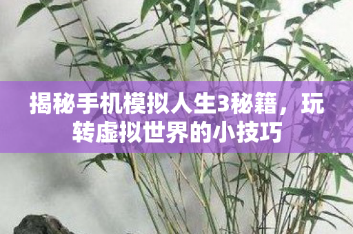 揭秘手机模拟人生3秘籍图片