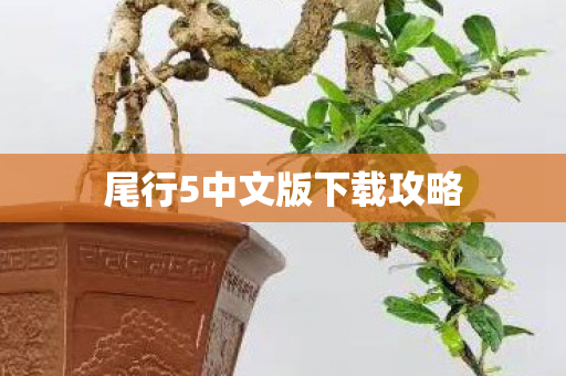 尾行5中文版下载攻略图片