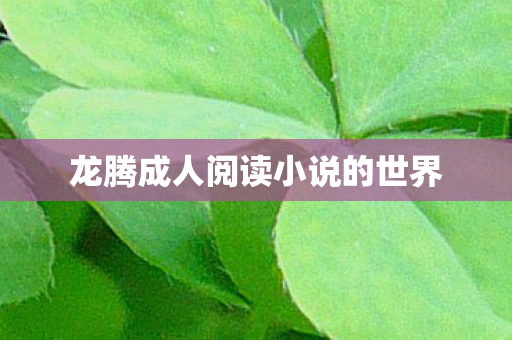 龙腾成人阅读小说的世界图片