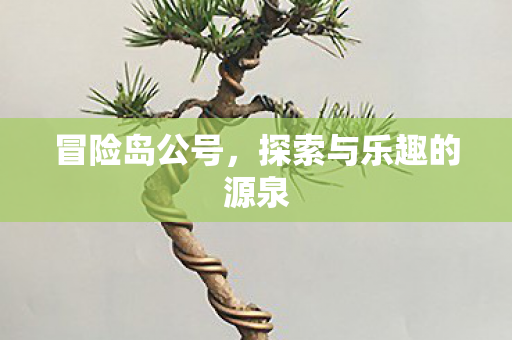 探索与乐趣的源泉图片