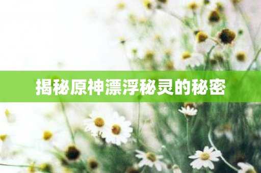 揭秘原神漂浮秘灵的秘密图片