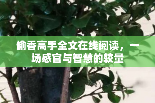 偷香高手全文在线阅读图片