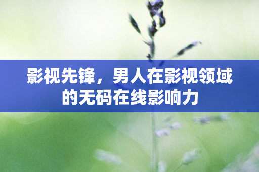 男人在影视领域的无码在线影响力图片