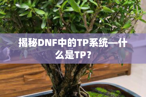 揭秘DNF中的TP系统图片