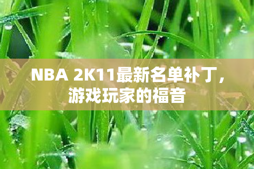 NBA 2K11最新名单补丁图片