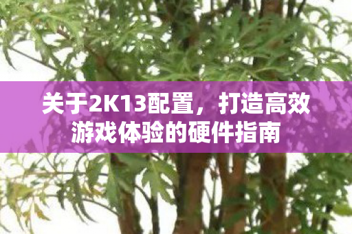 打造高效游戏体验的硬件指南图片