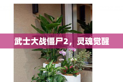 武士大战僵尸2图片