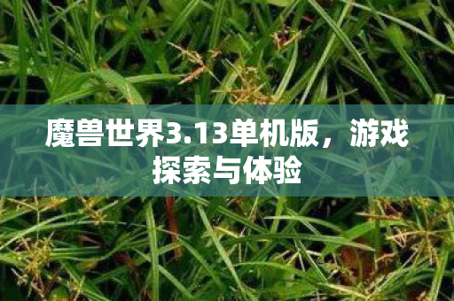 游戏探索与体验图片