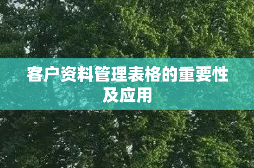 客户资料管理表格的重要性及应用图片