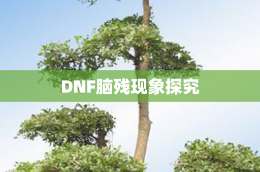DNF脑残现象探究图片