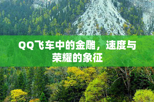 QQ飞车中的金雕图片
