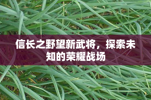 探索未知的荣耀战场图片