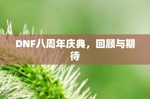 DNF八周年庆典图片