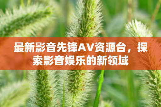 最新影音先锋AV资源台图片