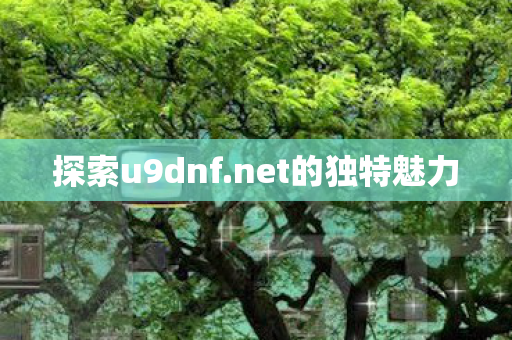 net的独特魅力图片