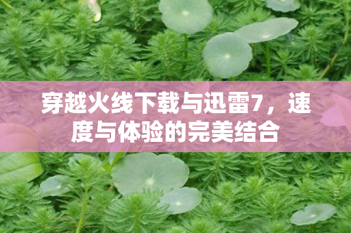 穿越火线下载与迅雷7图片