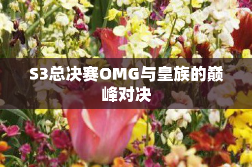 S3总决赛OMG与皇族的巅峰对决图片