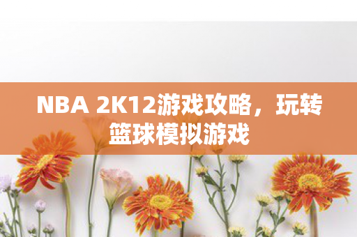 NBA 2K12游戏攻略图片