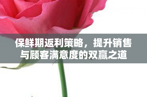 提升销售与顾客满意度的双赢之道图片