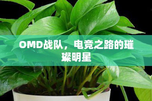 电竞之路的璀璨明星图片