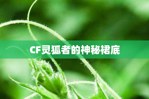 CF灵狐者的神秘裙底图片