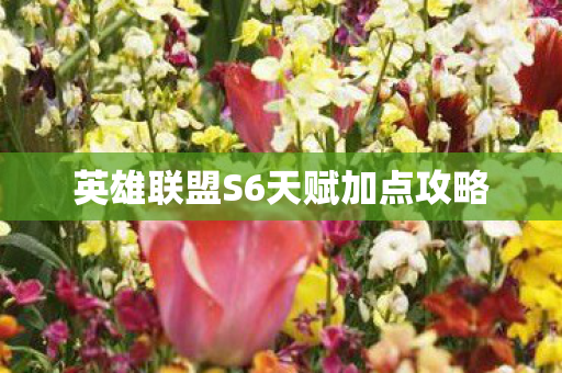 英雄联盟S6天赋加点攻略图片