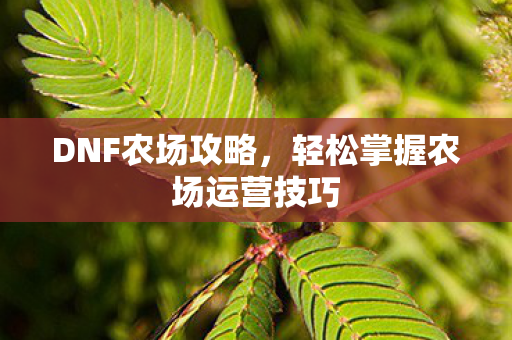 轻松掌握农场运营技巧图片